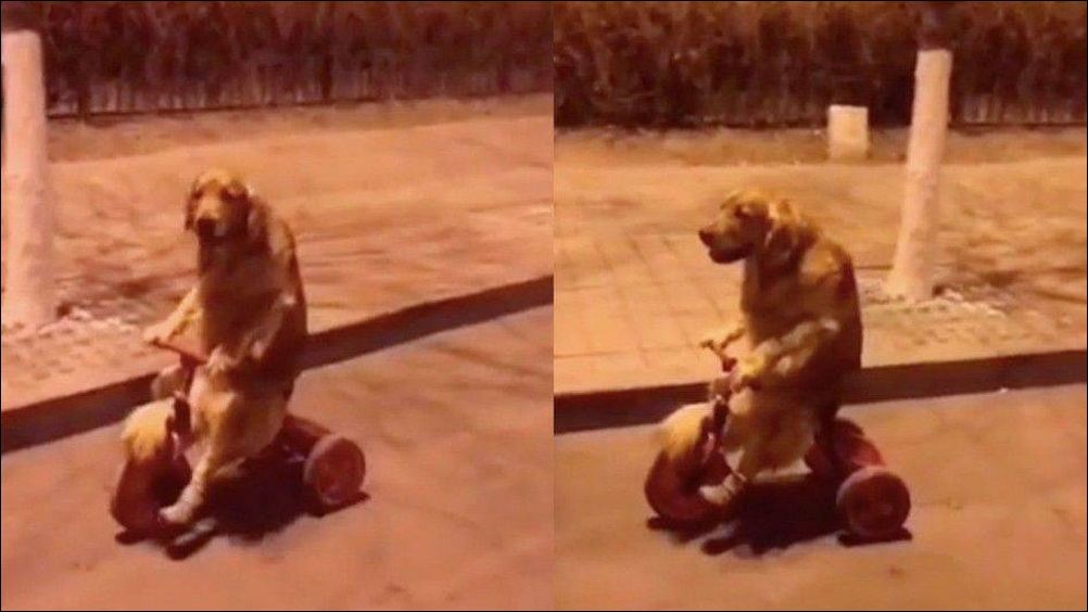 фото приколы