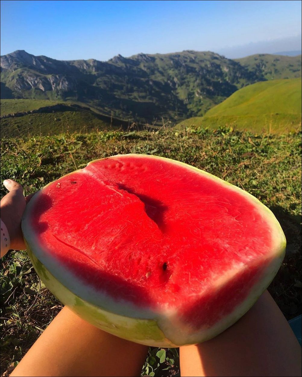 фото приколы