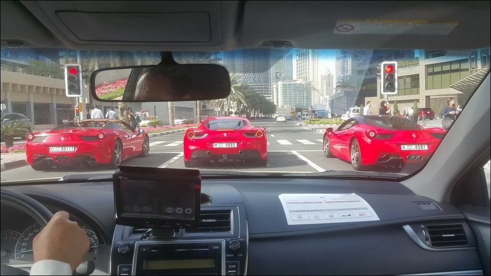 фото приколы