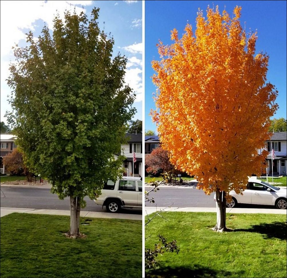 фото приколы