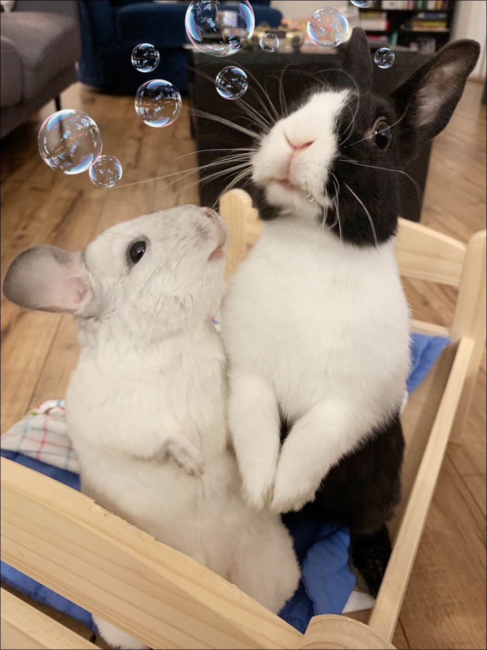 фото приколы