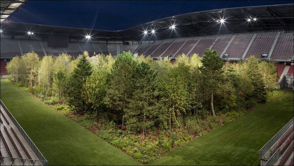 фото приколы