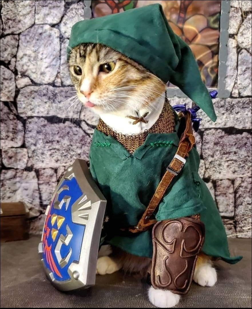 фото приколы