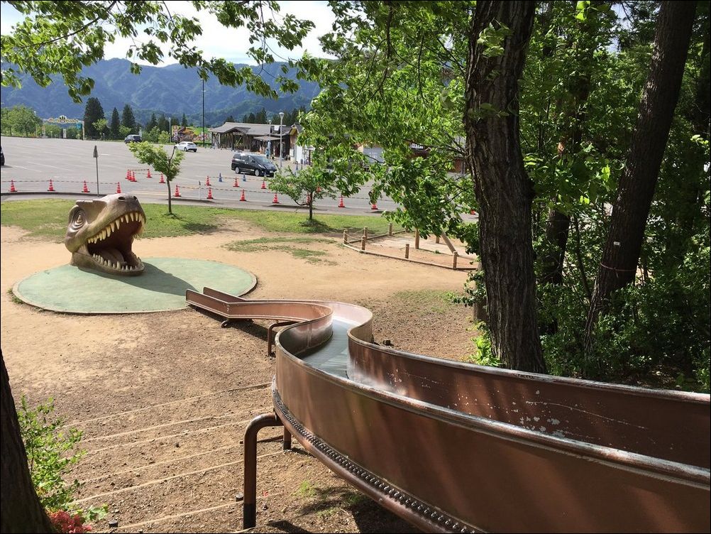 фото приколы