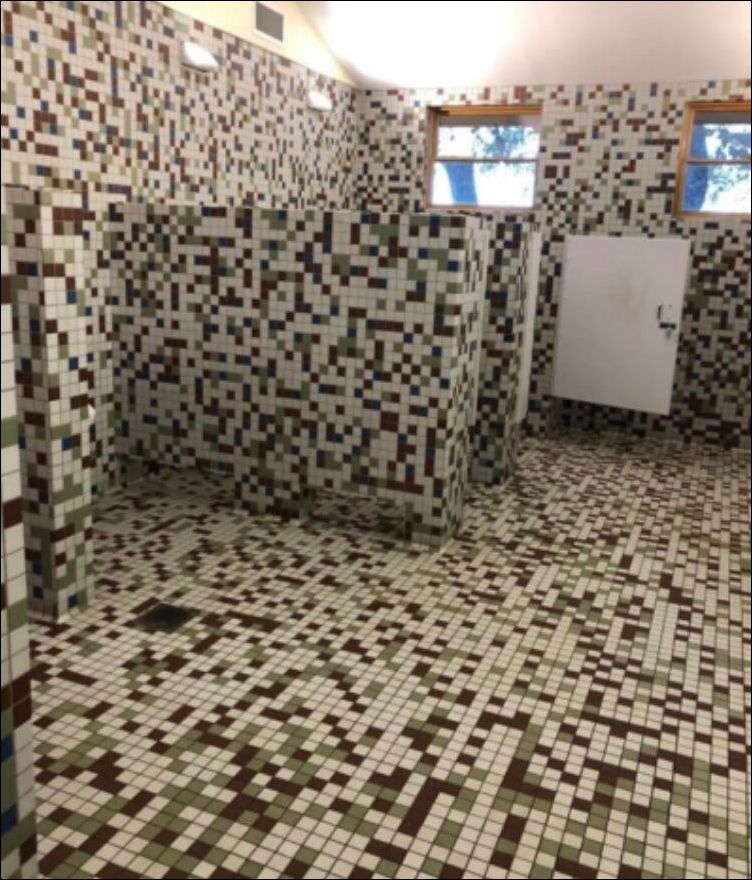 фото приколы