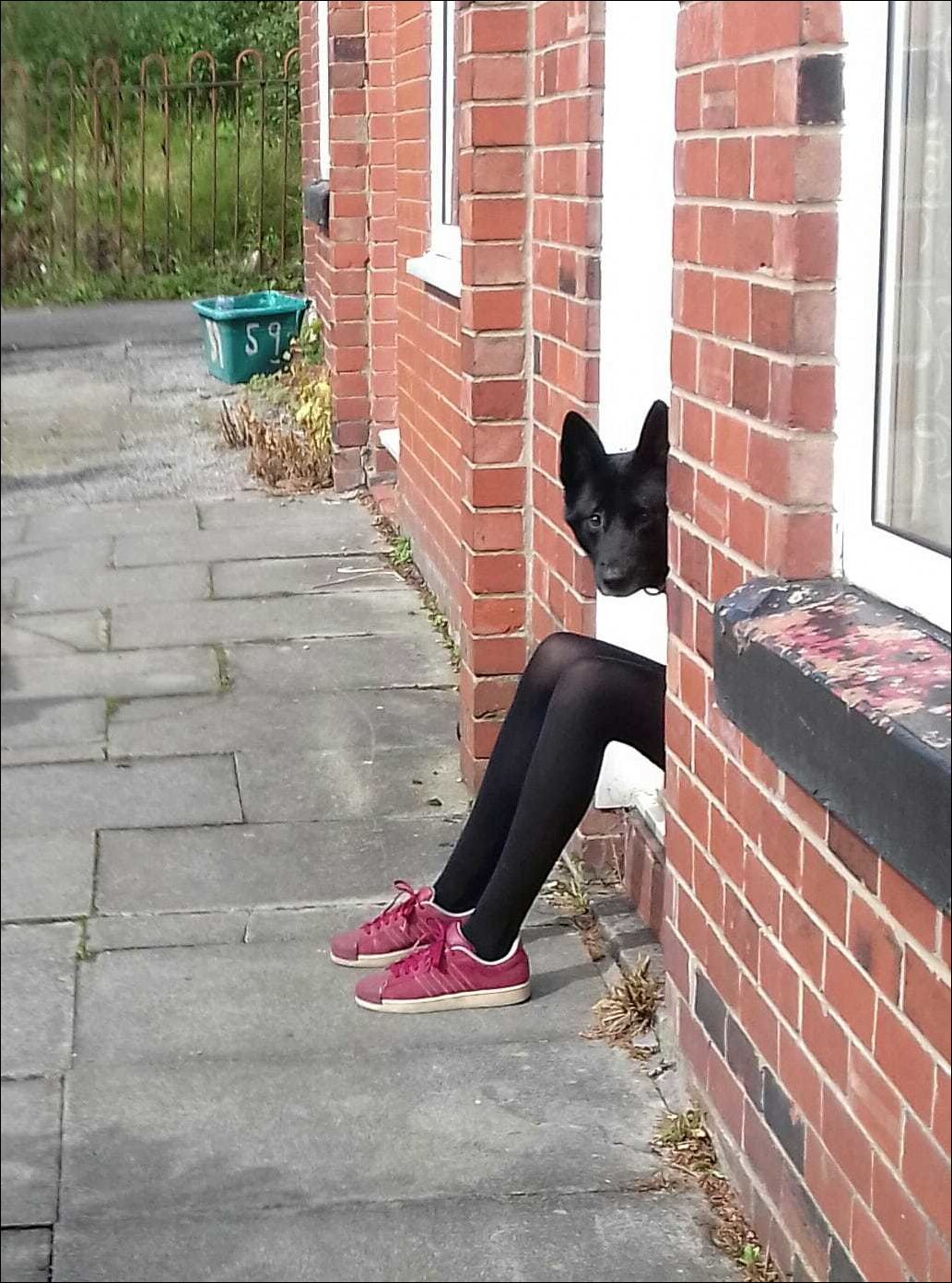 фото приколы