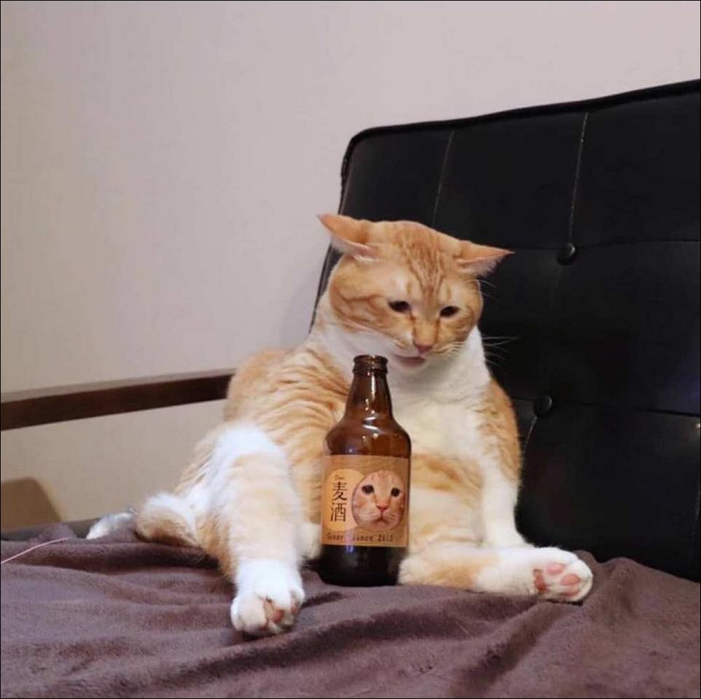 фото приколы