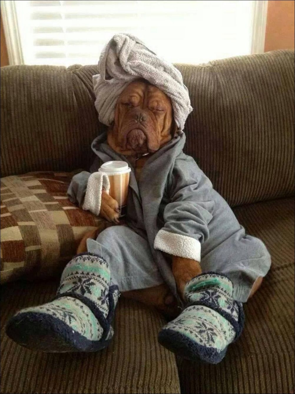 фото приколы