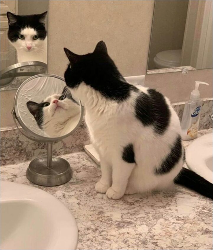 фото приколы