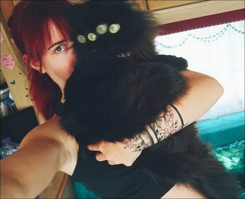 фото приколы