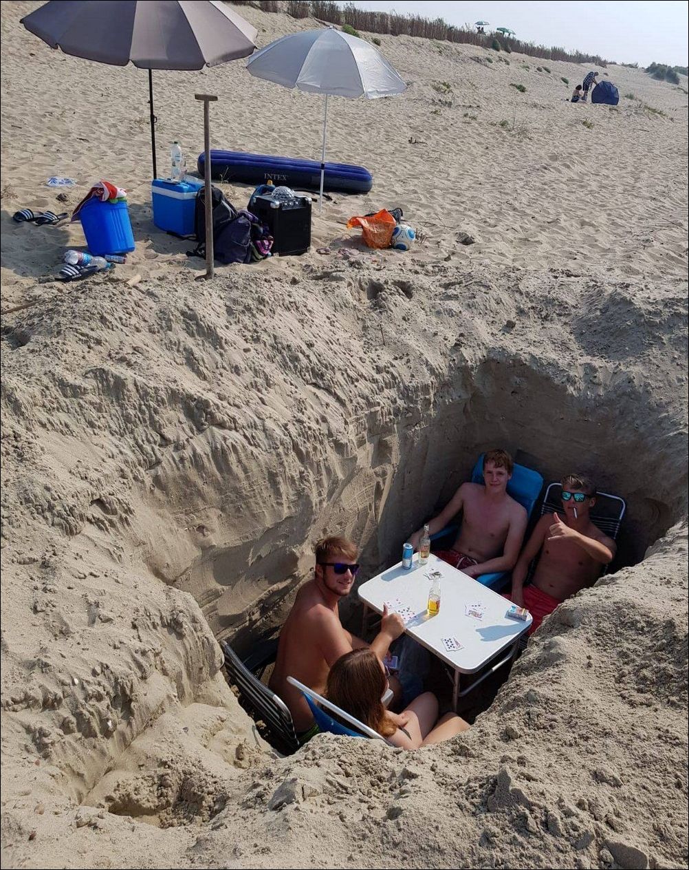 фото приколы