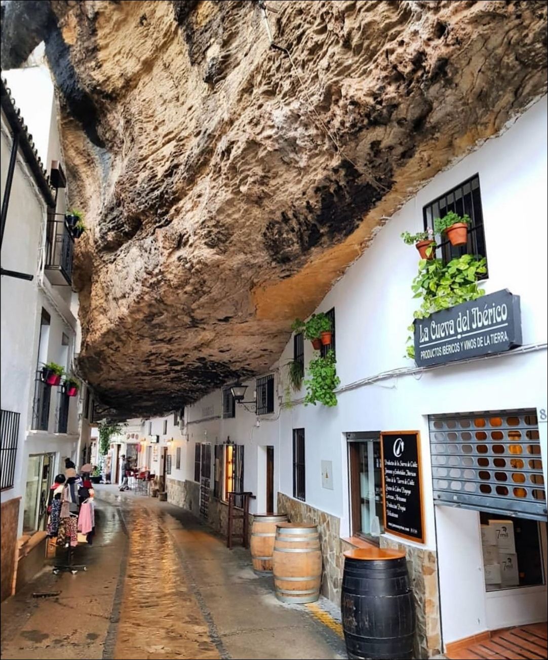 фото приколы