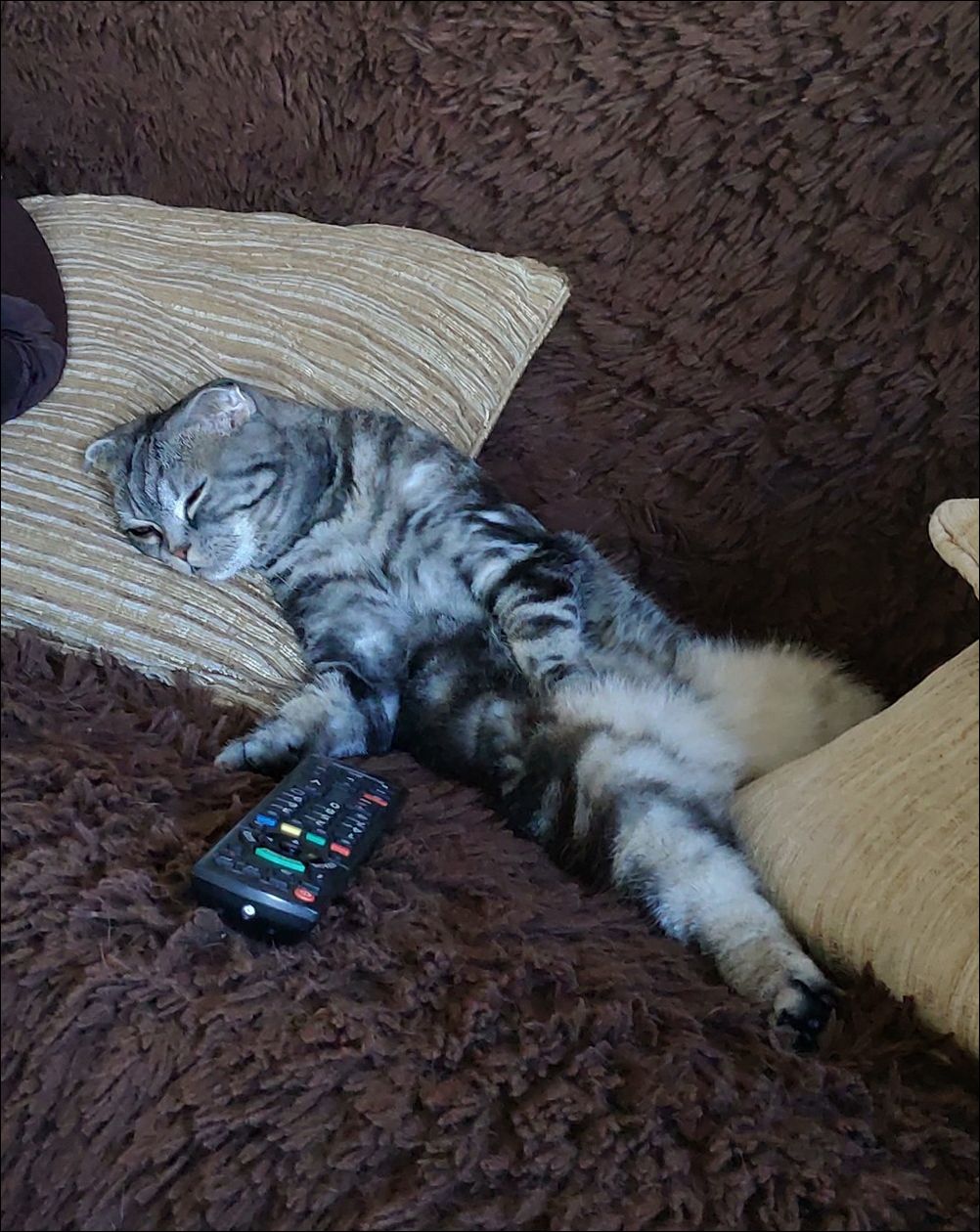 фото приколы