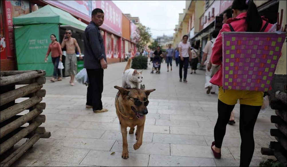 фото приколы