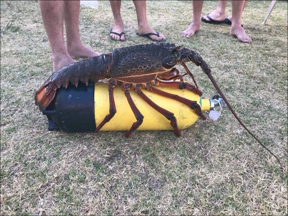 фото приколы