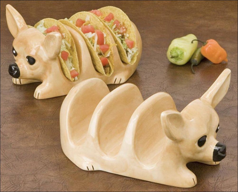 фото приколы