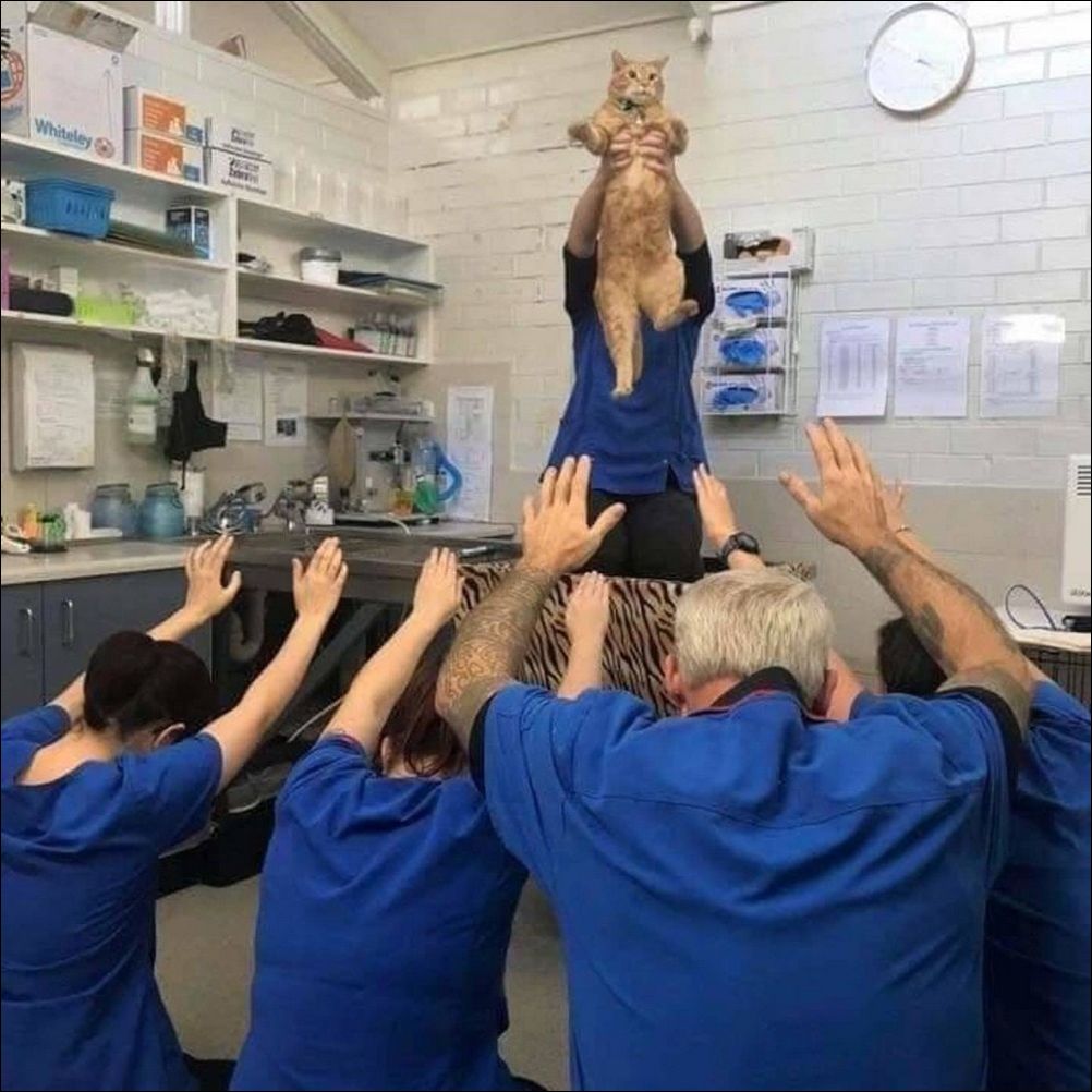 фото приколы