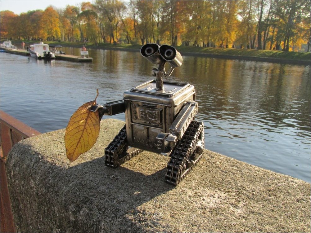 фото приколы