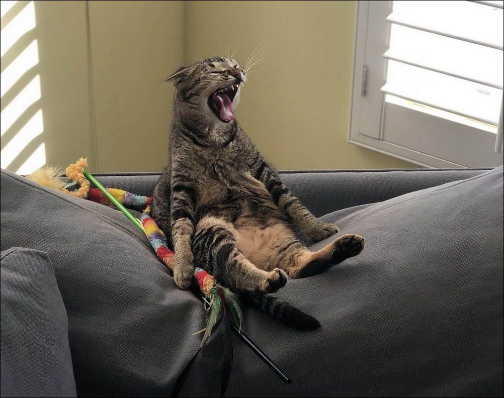 фото приколы