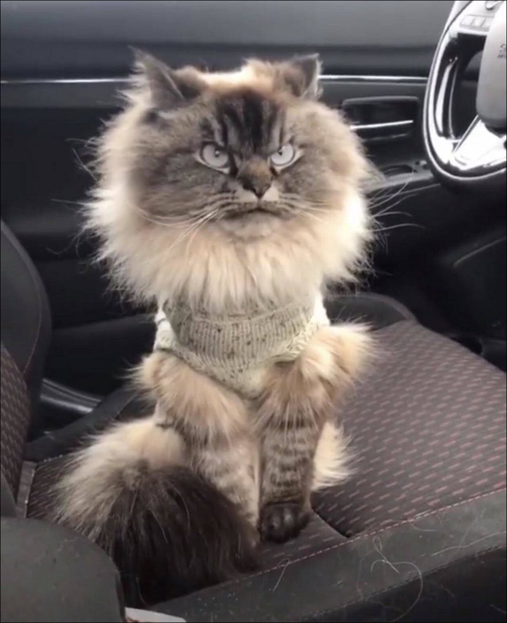  фото приколы 