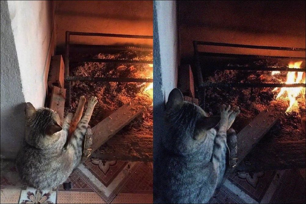  фото приколы 