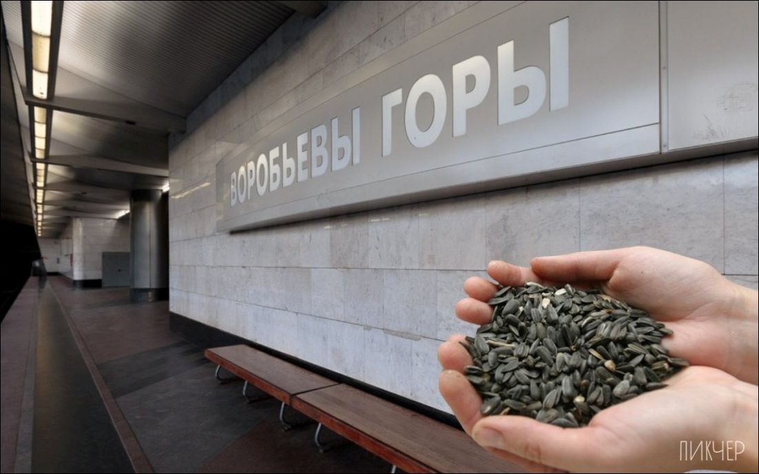  фото приколы 