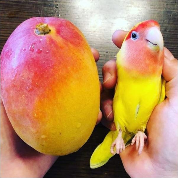  фото приколы 