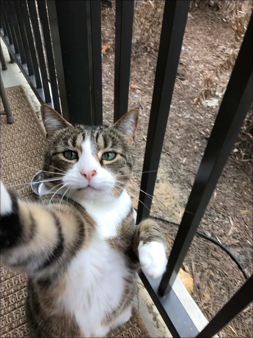  фото приколы 