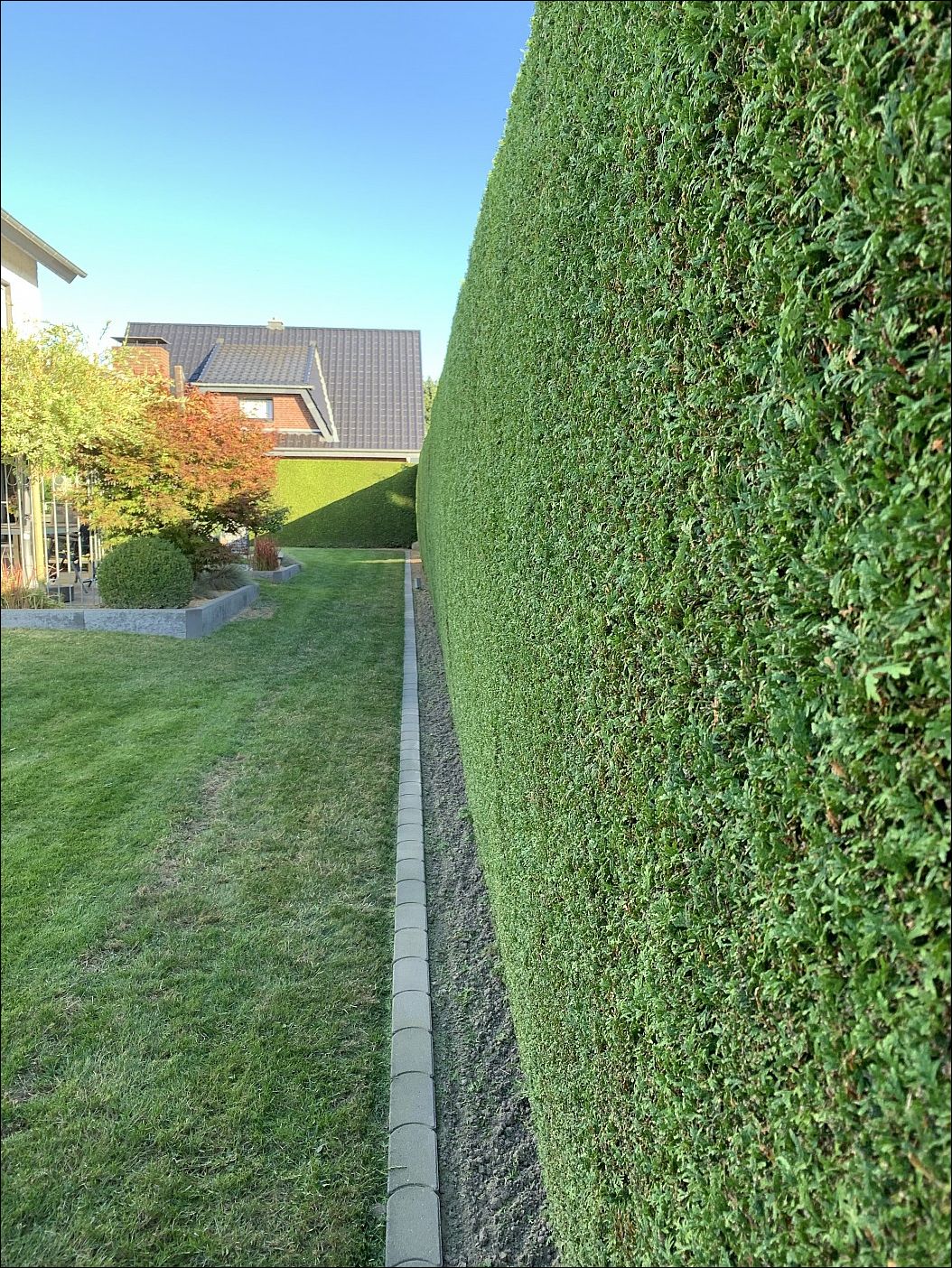  фото приколы 