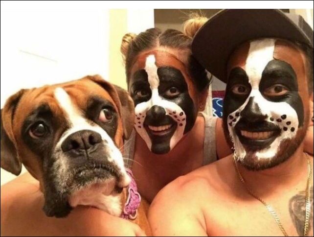  фото приколы 