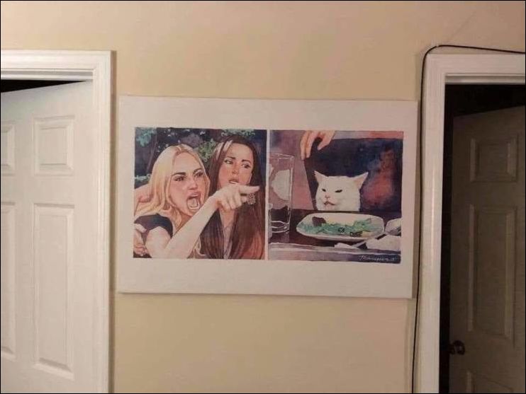  фото приколы 