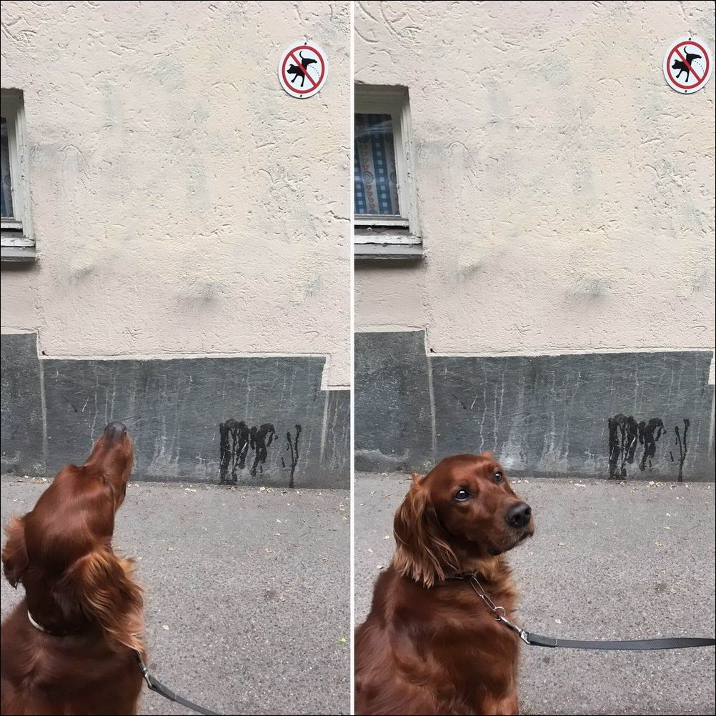  фото приколы 