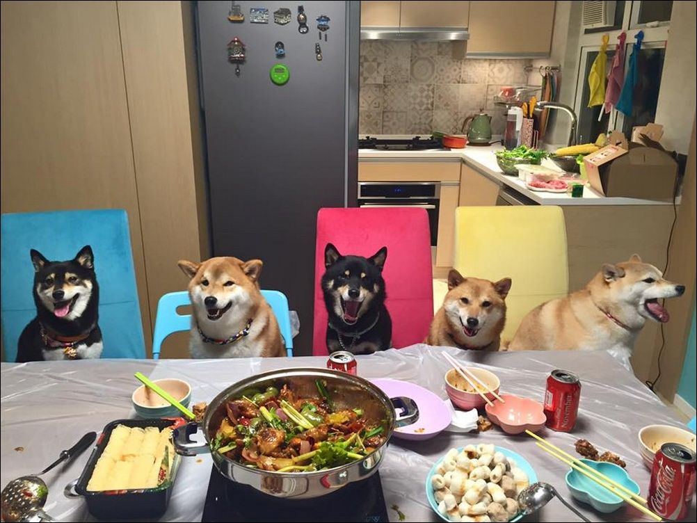  фото приколы 