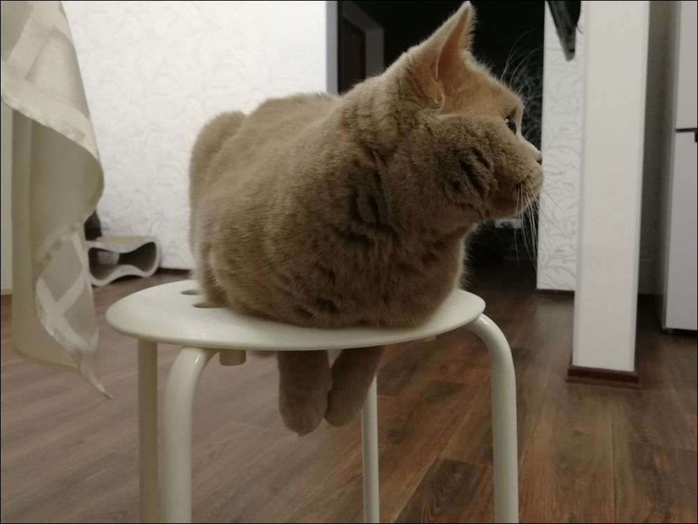  фото приколы 