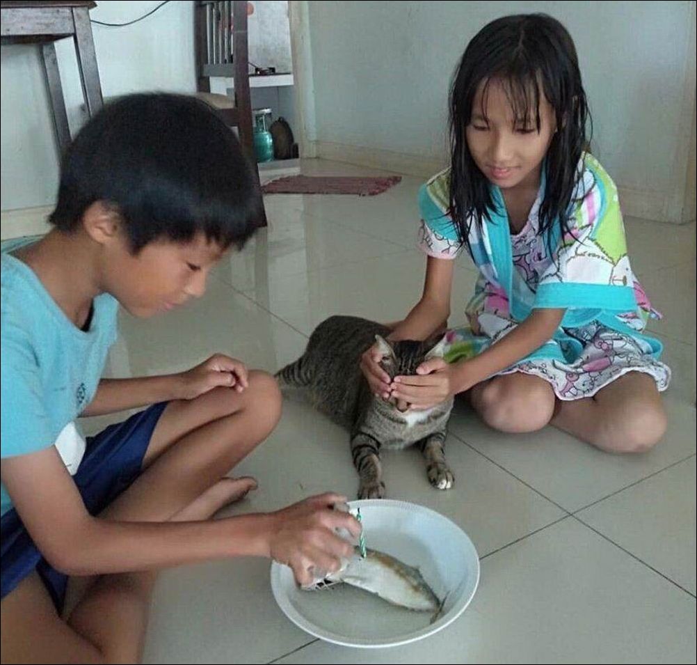  фото приколы 