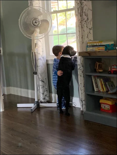  фото приколы 