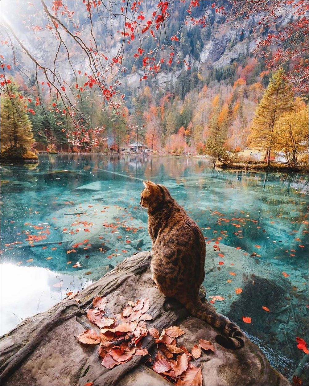  фото приколы 