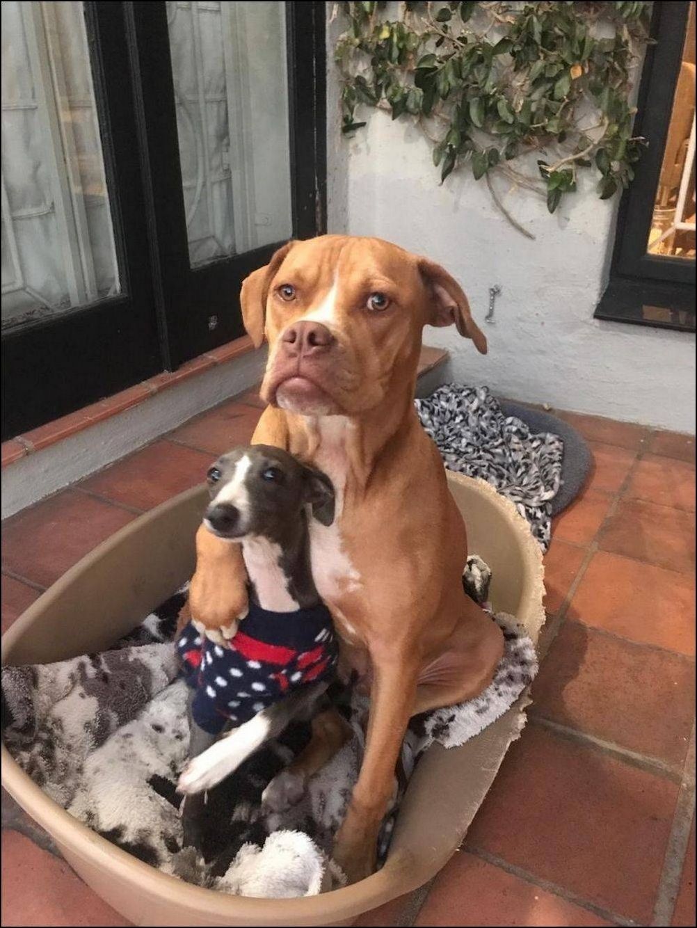  фото приколы 