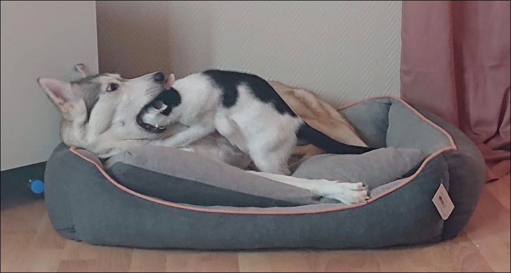  фото приколы 