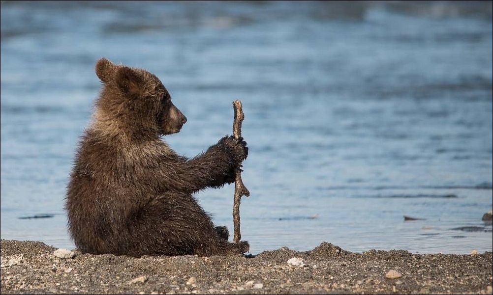  фото приколы 