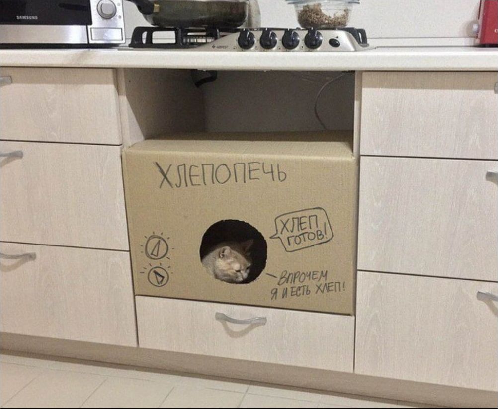  фото приколы 