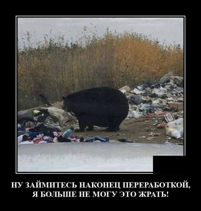 демотиватор