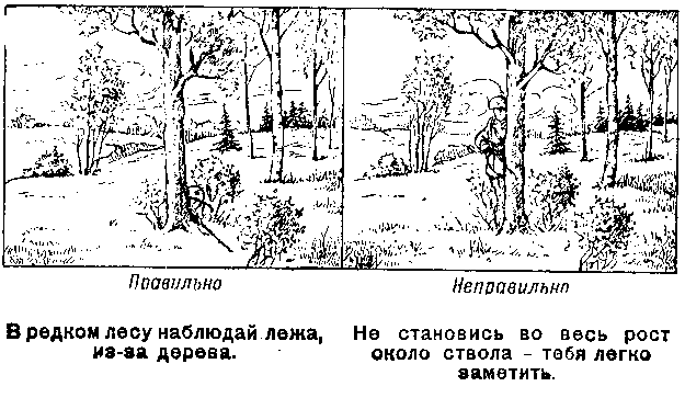 357.gif 357.gif