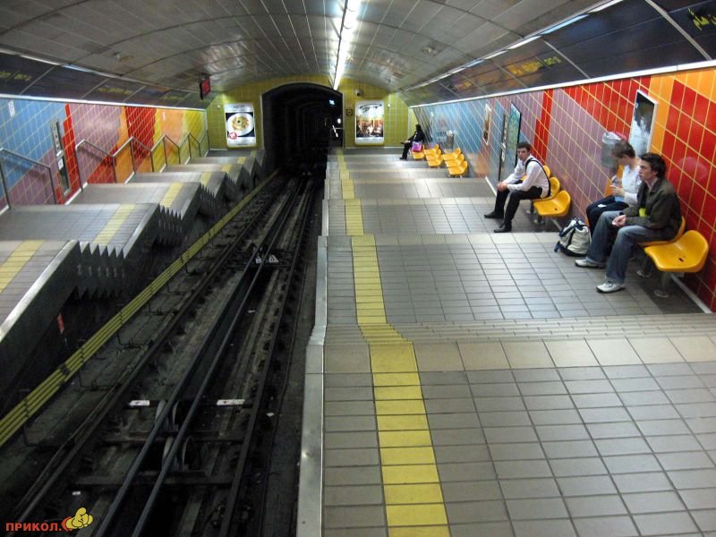 577.jpg
