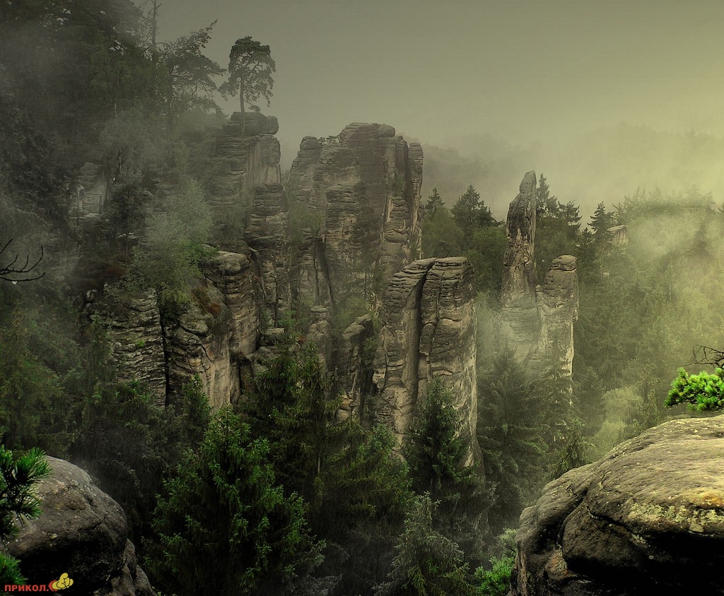 nature_01.jpg