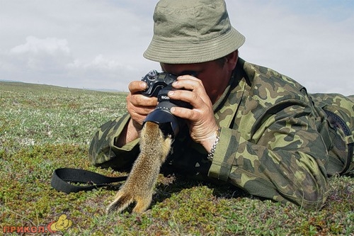 animals_05.jpg