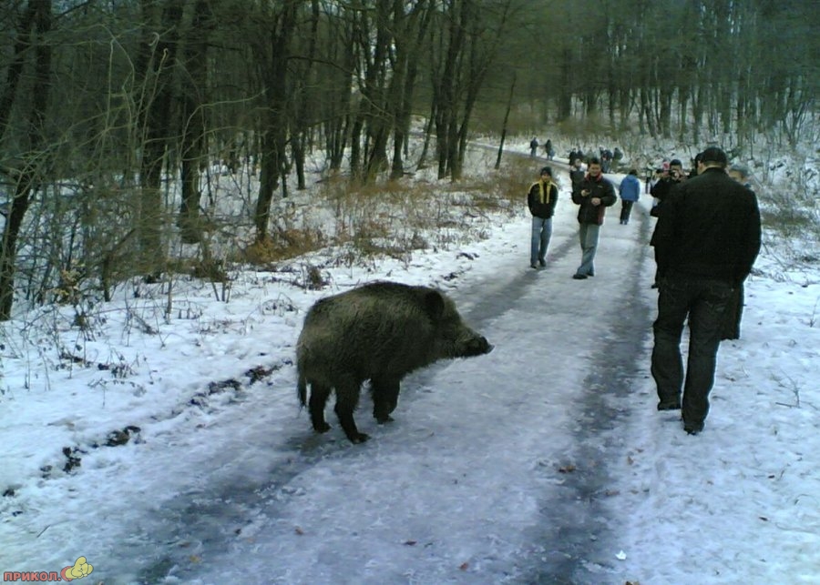 fotopodborka-20.jpg