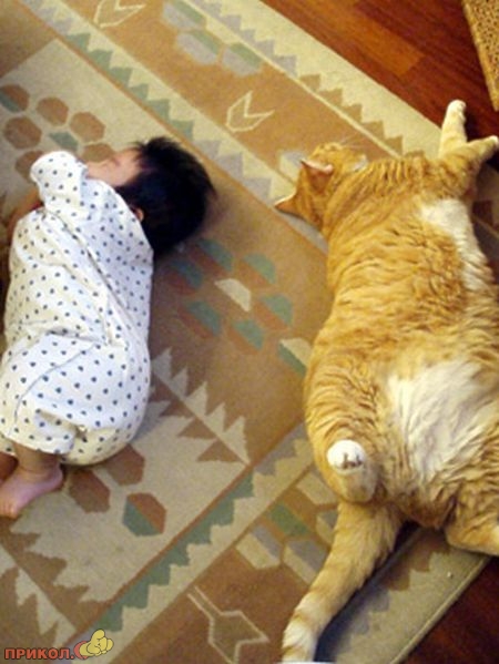 kid-and-cat-02.jpg