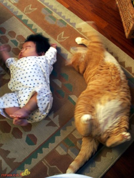 kid-and-cat-03.jpg
