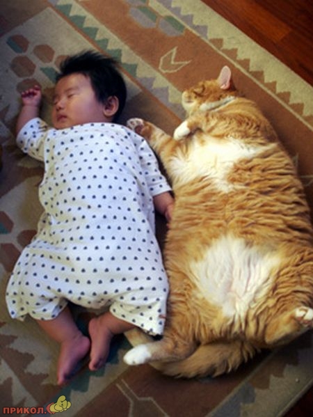 kid-and-cat-04.jpg